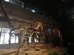 -自贡恐龙博物馆