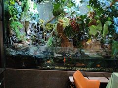 -豫丰汇河南名菜楼(武记餐饮)