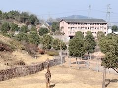 -安徽大青山野生动物世界