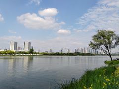 -渤公岛生态公园