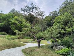 -云溪植物园