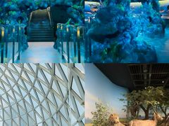 -陕西自然博物馆