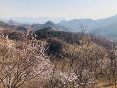-舌尖上的老贾火勺