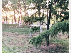 -洨河生态公园