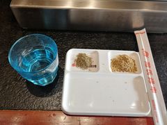 -邢氏老太太烤串(北兴街店)