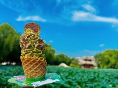 -莲池书院博物馆