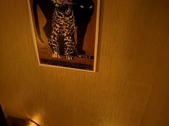 -浅森·龙凤筋SPA·私域调理