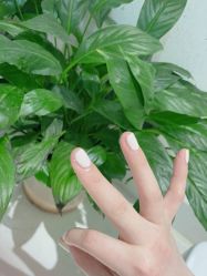 -OAE日式皮肤管理お肌の