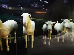 -汉景帝阳陵博物院