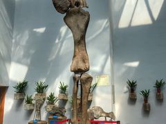 -自贡恐龙博物馆