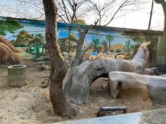 -上海野生动物园