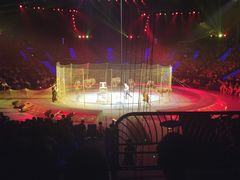 -珠海横琴长隆《卡卡虎奇遇记》