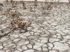 -长田漾湿地公园