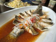 -扬州狮子楼·非遗淮扬菜(总店)