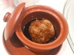 张氏狮子头-羲和雅苑•北京烤鸭(吴中路万象城店)