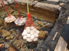 -天芳悦潭度假村温泉