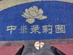 -中华茉莉园