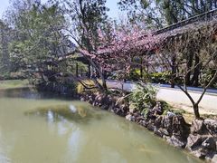 -上海醉白池公园