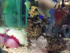 -太平洋海底世界