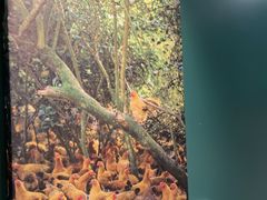 -烹然四季椰子鸡火锅(姚家园万象汇店)