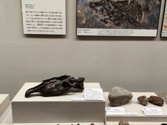 -大阪历史博物馆