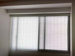 点击看大图 -WENDY·温迪皮肤管理