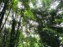 -成都杜甫草堂博物馆