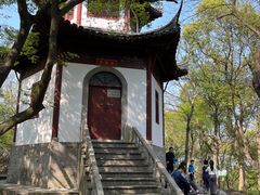 -上海佘山国家森林公园天马山园