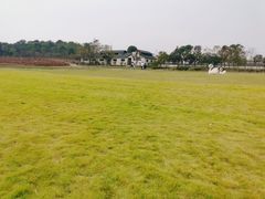 -杭州湾海上花田景区