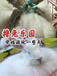 点击看大图 -萌兔星空蹦床撸兔馆