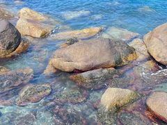 -汕尾风车岛