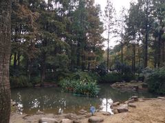 -苏州河梦清园环保主题公园