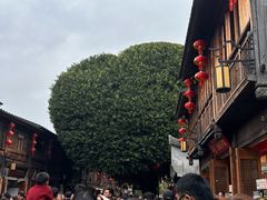 -三坊七巷历史文化街区