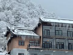 -瓦屋山景区