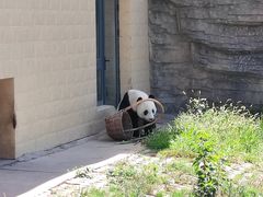 -石家庄市动物园