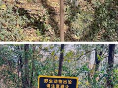 -红山森林动物园