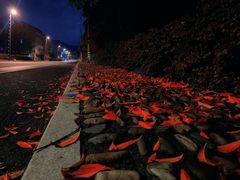 -Wolfgang’s Steakhouse 沃夫冈牛排馆(上海白玉兰广场店)