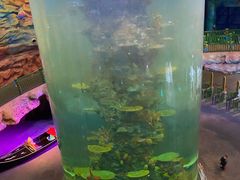 -青岛嘉年华主题乐园