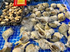 -驻海渔市(置信店)