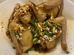 -百利鸽王(紫薇路店)