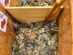 -初色海鲜自助(万丰路店)