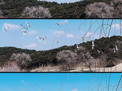 -沈阳森林动物园