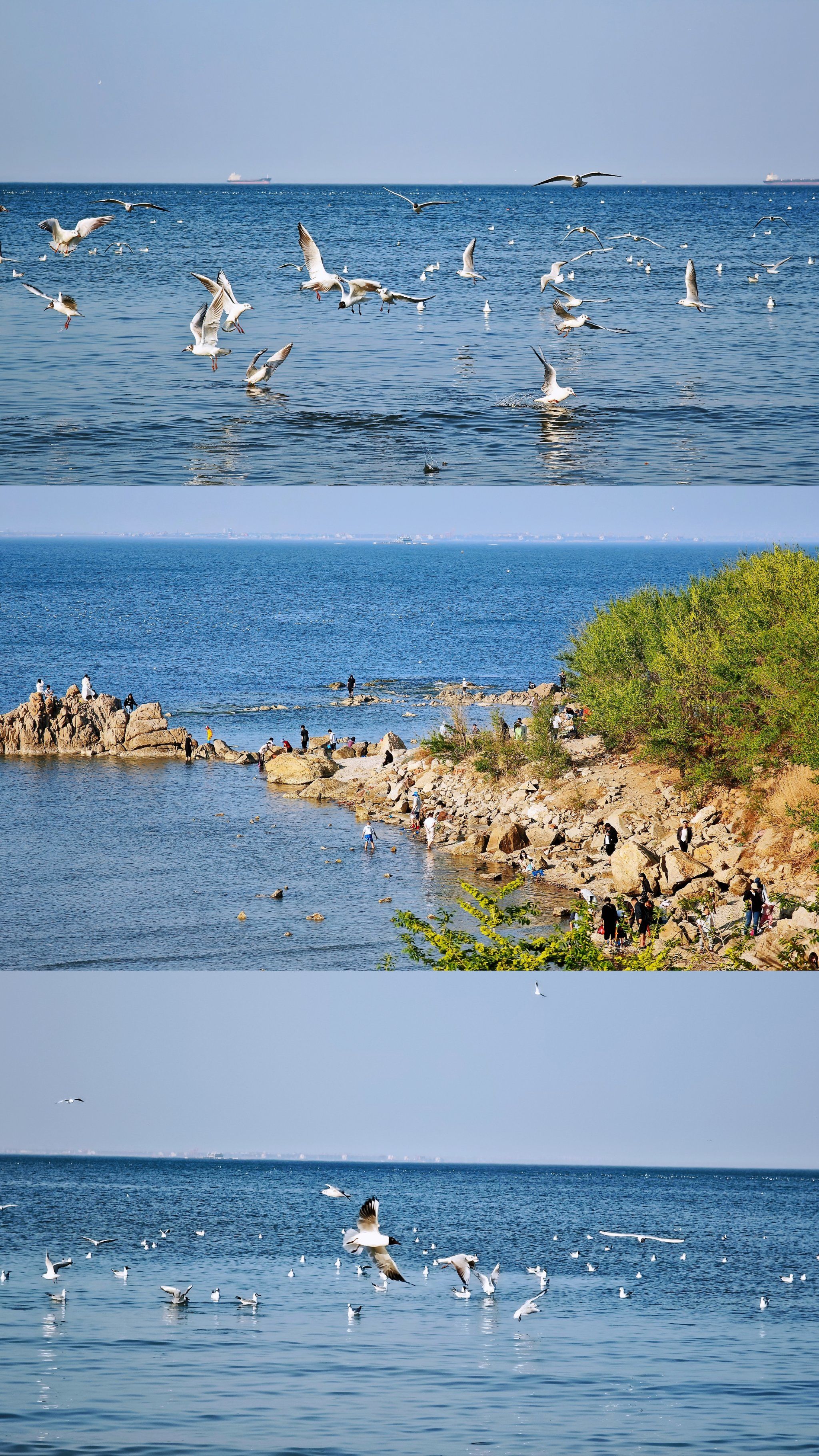 海边漫步 遇见最美风景