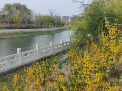 -坝河休闲公园