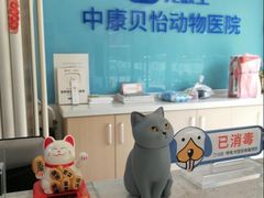 -宠颐生中康贝怡动物医院