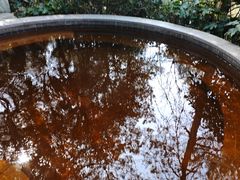-天目湖涵田半山温泉