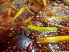 -星鸿社重庆老火锅(燃灯寺分店)