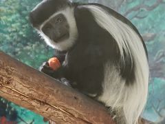 -石家庄市动物园