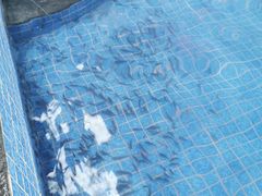 -兴芮温泉度假区