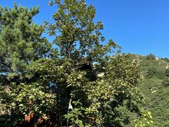 -云峰山自然风景区